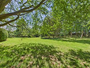 Side Garden- click for photo gallery